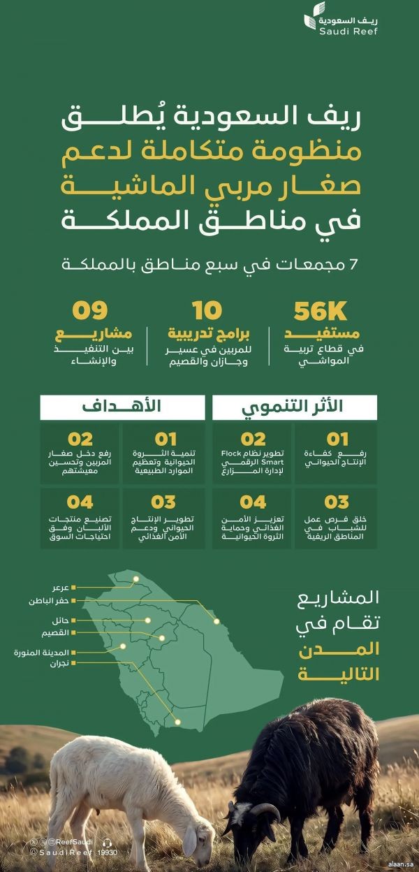 "ريف السعودية" يُنفّذ 7 مجمعات نموذجية للإنتاج الحيواني في عددٍ من المناطق