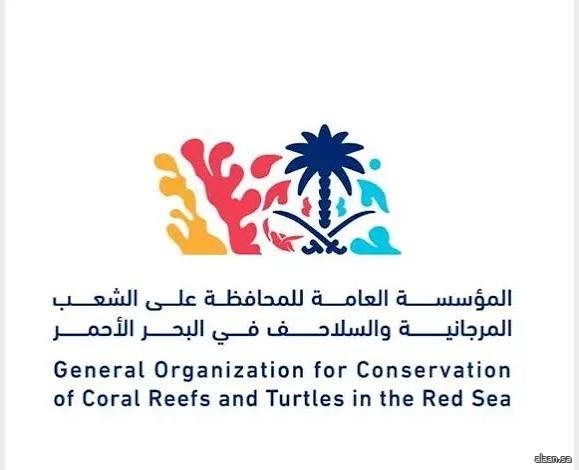 المملكة ترأس الاجتماع الـ39 للمبادرة الدولية للشعب المرجانية واعتماد خمس توصيات لتعزيز حضورها عالميًا