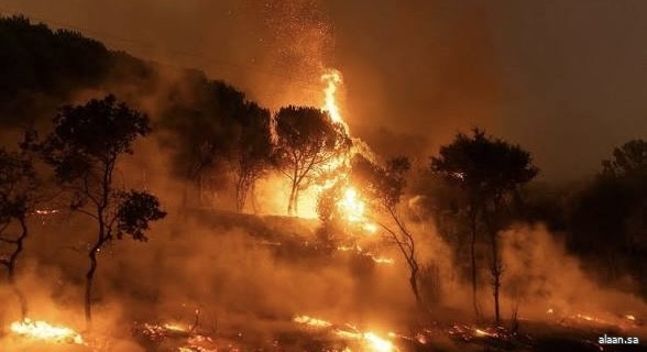 حرائق الغابات تمتد في اليونان وسط جهود مكثفة لاحتواء النيران
