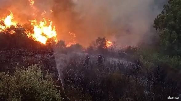 الجزائر تسجن 7 متهمين بالتسبب في حرائق الغابات