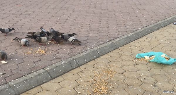 كلُّ منّا مسؤول.. هل نُدرك ذلك فعلًا؟!