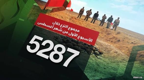 «مسام» ينزع 5287 لغماً وذخيرة خلال الأسبوع الأول من أغسطس