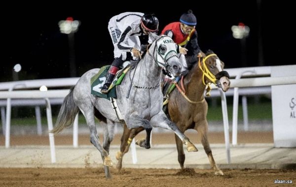 تتويج خمسة أبطال بكؤوس الأسبوع الرابع من موسم سباقات الخيل بالطائف
