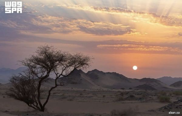 محمية الأمير محمد بن سلمان الملكية.. من هامش الصورة إلى قلب القصة