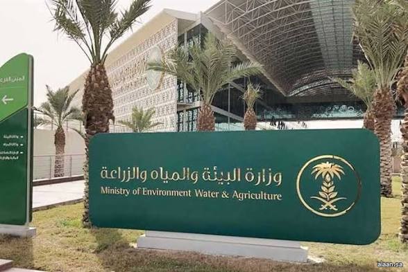 "البيئة" تؤكد أهمية تعزيز السلوكيات الإيجابية لدى الطلاب والطالبات لاستدامة الموارد الطبيعية