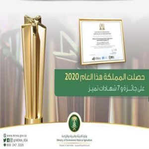 البيئة" تحصل على شهادة التميّز بمنتدى القمة العالمية لمجتمع المعلومات 2020