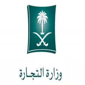 وزارة التجارة تستدعي 694 مركبة (لينكون-فورد) لوجود خلل في الكاميرا الخلفية