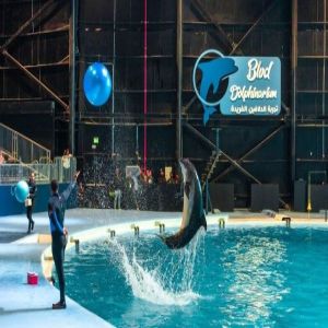 عروض الدلافين أكثر التجارب والفعاليات الترفيهية إثارة في منطقة بوليفارد وورلد