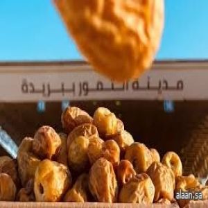 انطلاق كرنفال بريدة للتمور بأنشطة وفعاليات متنوعة