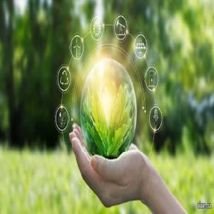 المملكة تواصل دعم الاستدامة وحماية البيئة عالميًا