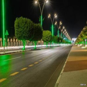 احتفاءً باليوم الوطني 95 .. أمانة القصيم وبلدياتها تكتسي باللون الأخضر