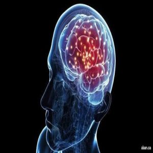 علماء يضعون مسودة كتاب خرائط لنشأة ونمو خلايا الدماغ