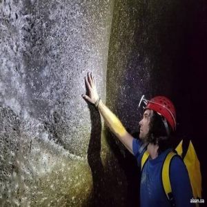 العثور على أكبر شبكة عناكب تضم 111 ألف عنكبوت