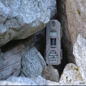 كاميرا في كهف لمدة 10 سنوات - تشهد على زوار  الحياة البرية