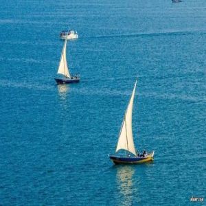 اختتام فعاليات النسخة الثانية من سباق البحر الأحمر للمراكب الشراعية