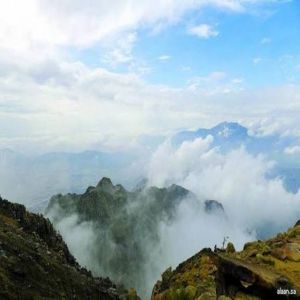 الطائف تستعيد حضورها الطبيعي.. الضباب يُعانق الجبال الشاهقة في الصباح الباكر