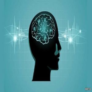 المخ يغيّر وصلاته العصبية 5 مرات خلال عمر الإنسان