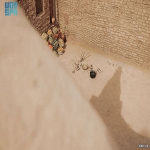 ضمن تقليد ثقافي سنوي .. العُلا تحتفي غدًا بفعالية "الطنطورة"