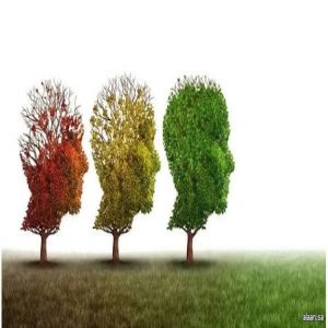 مساعدة الآخرين تُبطئ شيخوخة الدماغ .. دراسة