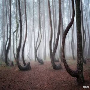 الأماكن الأكثر غموضًا على سطح الأرض