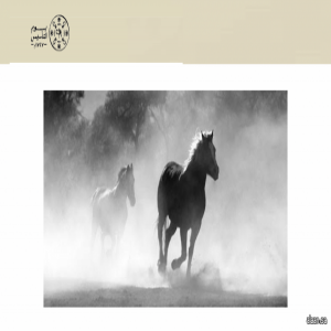 الفروسية في الدولة السعودية الأولى جزءٌ من الهوية الاجتماعية والثقافية