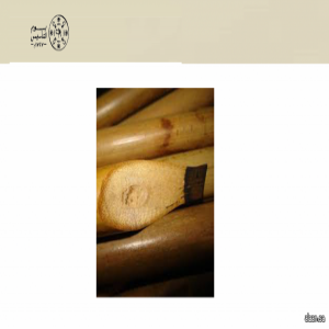 القلم في مرحلة التأسيس .. لكتابة المخطوطات وتوثيق العلوم والمعارف