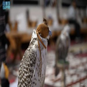 مظاهر الاحتفاء بعيد الفطر برفحاء تواصل فعالياتها وسط إقبال من الأهالي والزوار