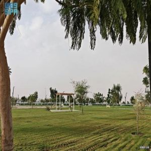 حديقة الأمير تركي بن هذلول بنجران.. واحة بيئية وترفيهية تجذب الزوَّار والمتنزّهين
