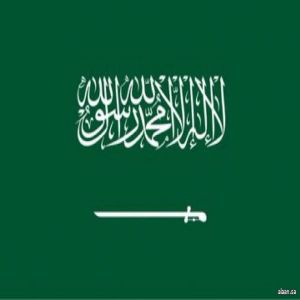 لمملكة الأولى عالميًا في الأمن والخصوصية والتشفير في الذكاء الاصطناعي وتمكين المرأة في الذكاء الاصطناعي وفقًا لمؤشر ستانفورد 2026