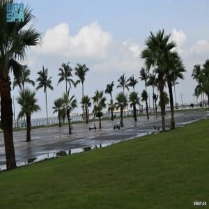 واجهة المانجروف بمدينة جيزان.. أيقونة ساحلية جديدة تُعزِّز جاذبية جازان السياحية