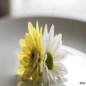 ابدأ يومك وأنت مستعدٌّ له ..